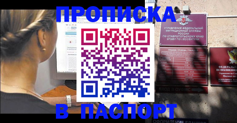 временная регистрация для всех в Палласовке